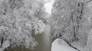 Погода в Апшеронске 24.01.2022 год/жизнь на Юге.