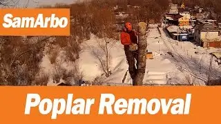 Спилить дерево по частям №4 УДАЛЕНИЕ ТОПОЛЯ #Арбористика [SamArbo]
