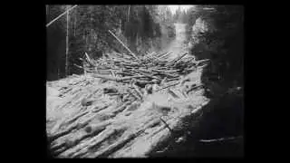 Tømmerfløting 1953