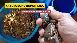 Nang huli kami ng isang balding talangka sa sapa