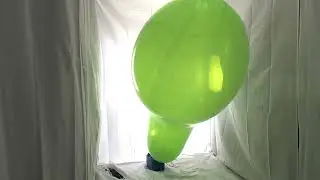 #194 BTP - Cattex 32