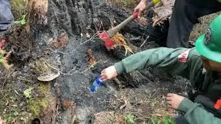 Anger Tree Assessment/Anger Tree Management - Wells Wildfire 6