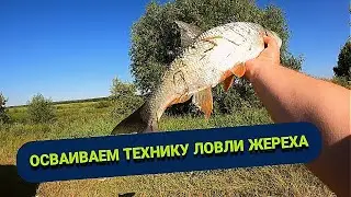 Mastering the technique of asp fishing with a spinning rod. Asp fishing with a spinning rod from ...