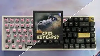 Apes keycaps? Typing Sound Test