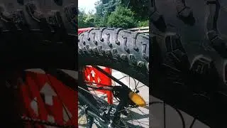 Интересный велосипед. Таких  ещё не видела!