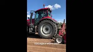 DokaGene посадка моркови проведена