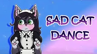 SAD CAT DANCE! ✧･ﾟ