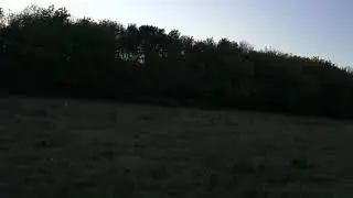 Sans Titre CCVIL