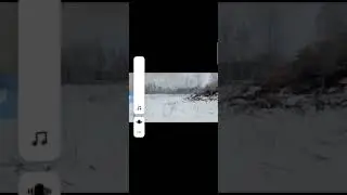 Пожар в лесу