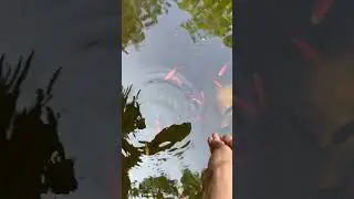 Feeding Time - Summer 2023