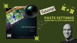 Paste Image Settings to other images