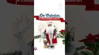 DEDEMAN - Colecția de sărbători