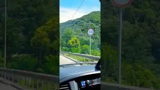 сей благое семя