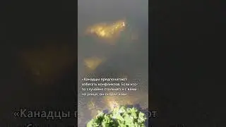 Правда ли, что канадцы такие вежливые? Часть 2