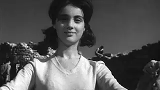 Я вижу солнце 1965