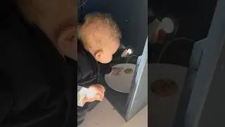 Cookie thief🍪🍪