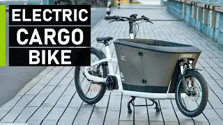 Top 10 Best Electric Cargo Bikes