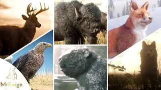 Red Dead Redemption 2023 - All Animal Species Locations - Unnatural Selection Trophy Guide