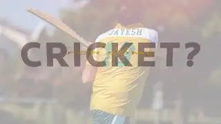 Thomson Reuters American Heart Charity Cricket Tournament