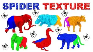 How To Design SPIDER-MAN Texture For Animals - Easily Create SPIDERMAN Texture Of Any Animal
