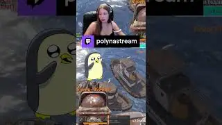 аааа да нет, я не вижу ничего! | polynastream с помощью 