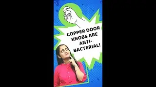 Copper door knobs are anti-bacterial! | LearnoHub Science Shots | #shorts #YTShorts