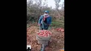 Personas que trabajan muy rápido !