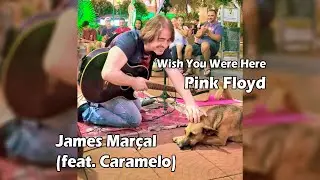 Wish You Were Here (Pink Floyd) James Marçal & Dog Caramelo