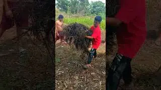 NANUNUYO ANG MGA BATANG GALA NA MAGTRABAHU PARA MABILI NG PAGAKIN