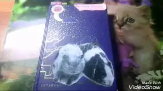 Блокнот все о моих животных