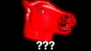 15 Horse Sound Variations in 30 Seconds