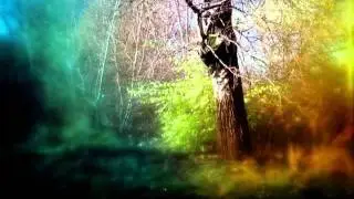 Vakula 'Field'
