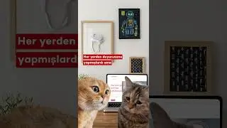 Duyduk duymadık demeyin! 😻📢