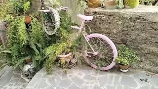 КАКИЕ БЫВАЮТ СУДЬБЫ...