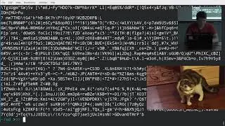 Linux Fundamentals, 