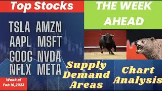 Top Stocks TheWeekAhead TSLA AAPL AMZN GOOG MSFT NVDA NFLX META   Feb 10 2023
