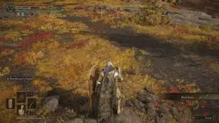 ELDEN RING™: Black Knife Assassin (Altus Plateau)