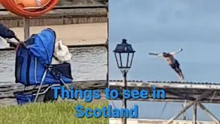 Scottish people being Scottish, How wrong was I