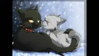 коты воители комикс 