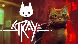 STRAY - Dead City