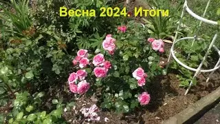 Весна 2024 - танцы с бубнами . Итоги