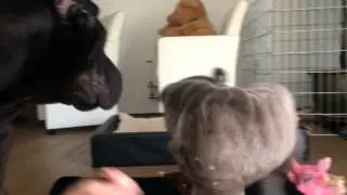 Ziva kisses mama