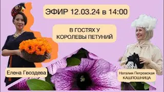 ПЕТУНИЯ ОТ СЕМЕЧКА ДО ОБЛАКА/ ЕЛЕНА ГВОЗДЕВА ВСЁ О ПЕТУНИЯХ И НЕ ТОЛЬКО/РОЗЫГРЫШ ПРИЗОВ
