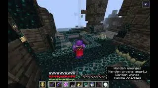 killing the WARDEN in the 1.19 snapshot