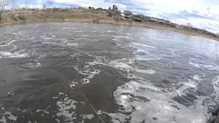 р. Исеть плотина с.Камышево 19.04.15