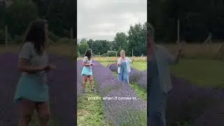 Road trip to Bayfield Lavender Farm