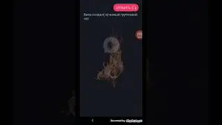 Взахлёб 2 часть *мертвый друг*