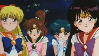 La promesa de la rosa (AMV) Sailor Moon