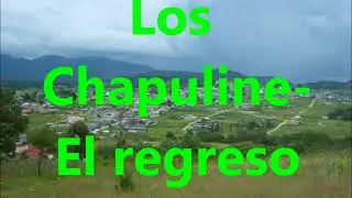 Popurri de chilenas - Los chapulines el regreso