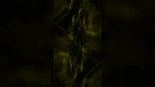 Smoke effect black screen 